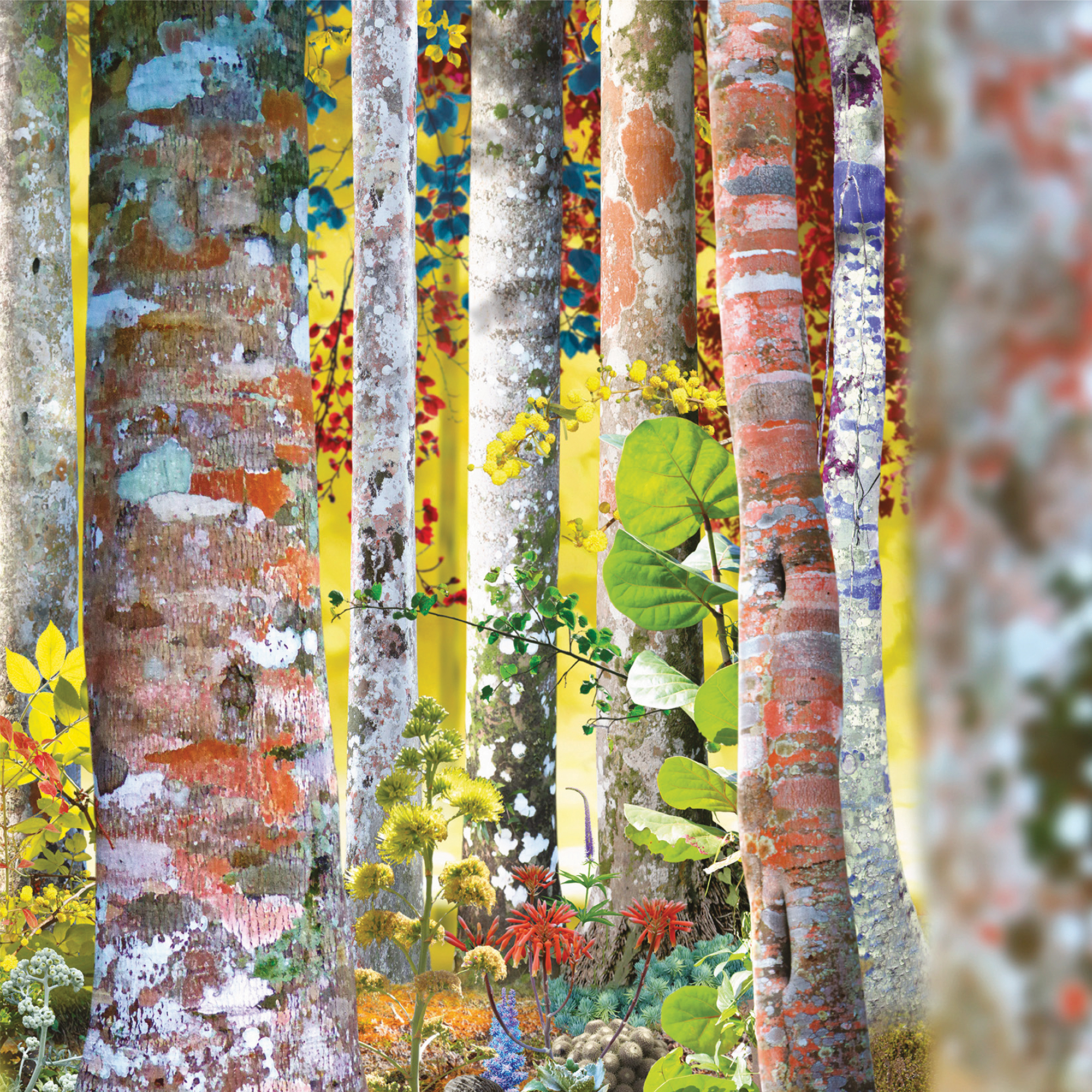 davidsylvian.com } David Sylvian “samadhisound 2003–2014 – Do You