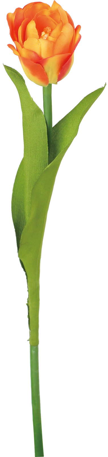 ｼﾝｸﾞﾙﾁｭｰﾘｯﾌﾟ: 造花（アーティフィシャルフラワー） ｜ YDMオンライン