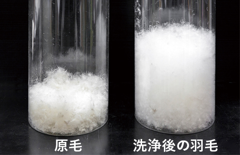 さらさら羽毛肌掛けふとん［夏向け］ | 寝具・肌着 | お掃除用品のダスキン