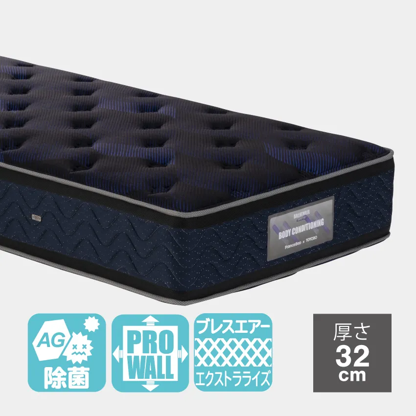 フランスベッド 除菌 汗消臭 マットレス DD-BAE-ロイヤル 【公式通販】
