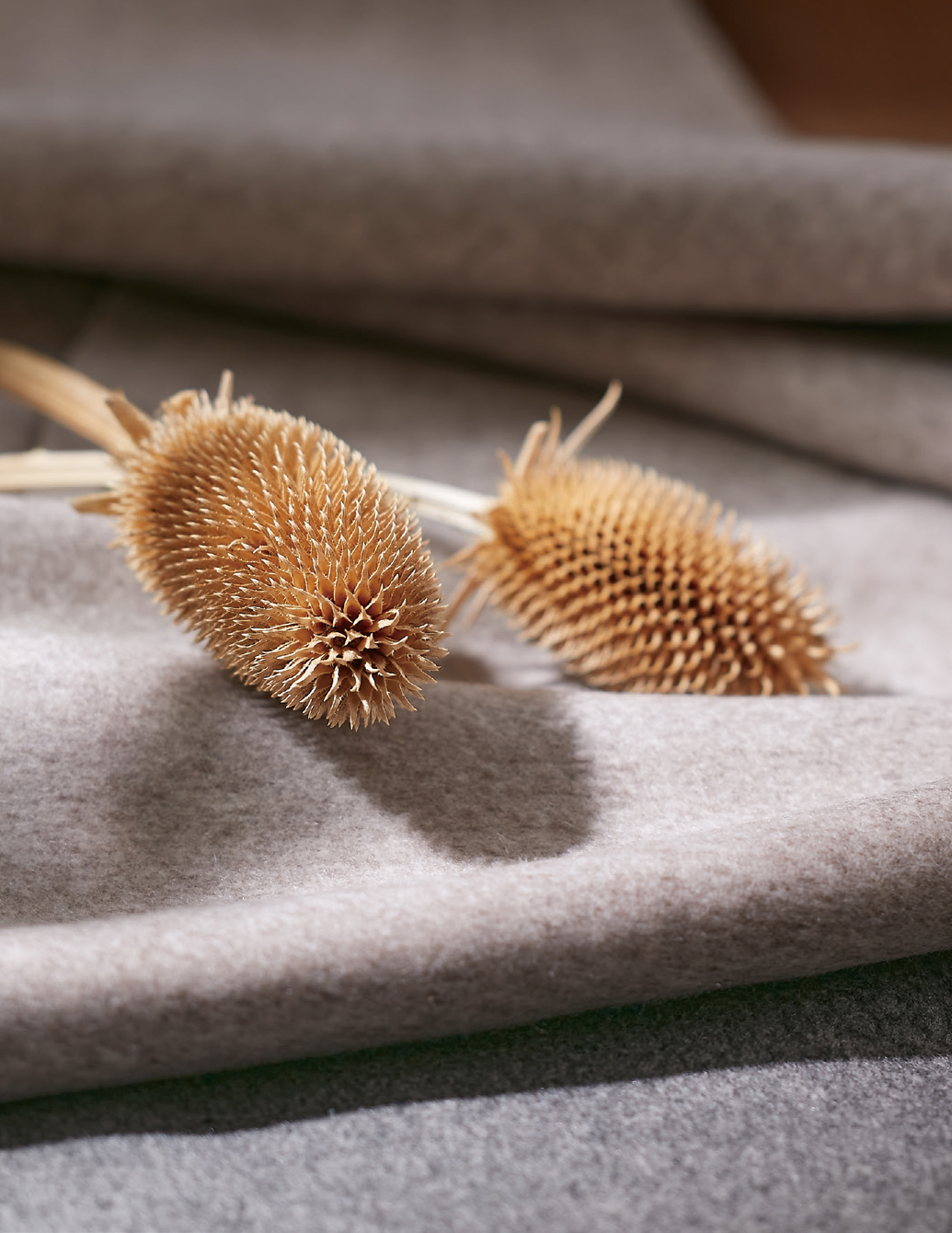 CASHMERE | FOXEY - フォクシー