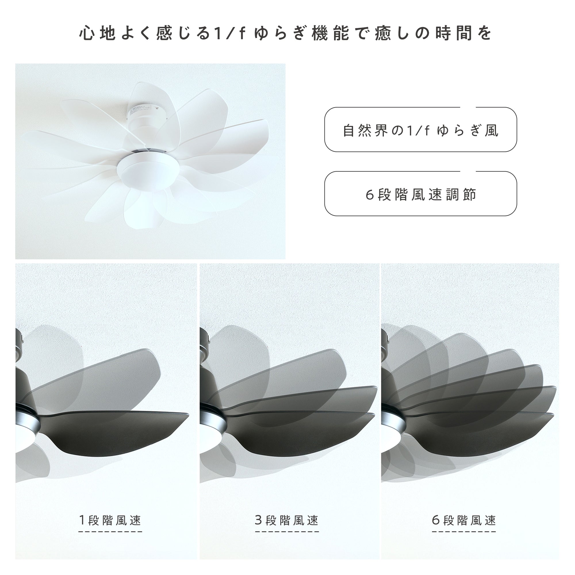 あす着] シーリングファンライト DCモーターブラシレス 静か 省エネ