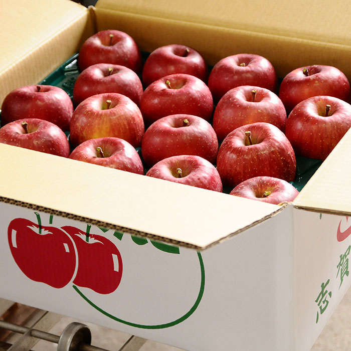 サンふじ 秀 10kg 【サンふじ専門農園 小西園】