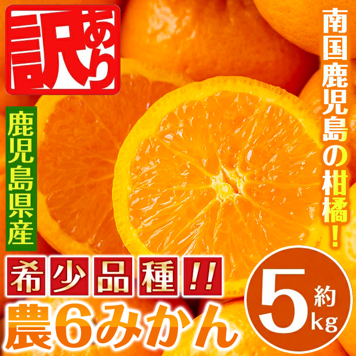 訳あり農6号みかん 約5K 商品詳細｜鹿児島 お土産,名物 通販、うにみそ