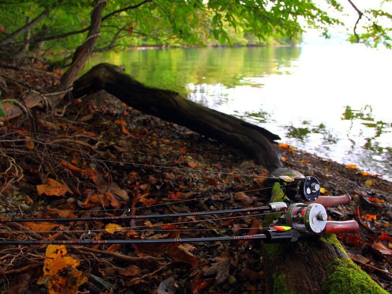 ☆入荷しました☆WESSEX ウェセックストラウトロッド／ベイト WSE-C/5