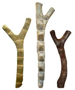 アフリカのはしご かんかんプレス