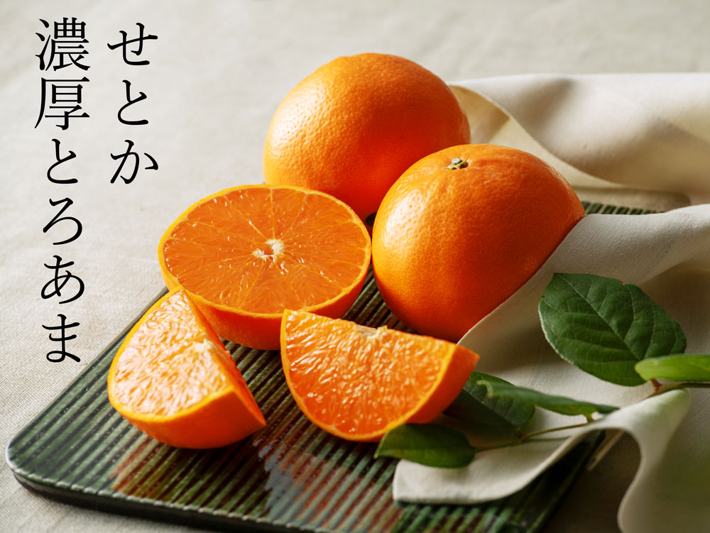 せとか 柑橘の最高峰「せとか」を農家直送！「せとか」は鮮度が命！