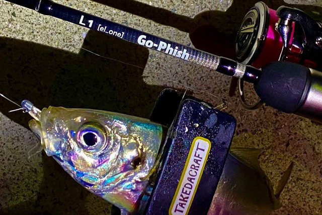 ゴーフィッシュ L1 トルザイト 【シーバスルアー専門店 キング