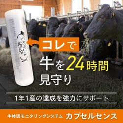 牛の個体識別情報検索サービス