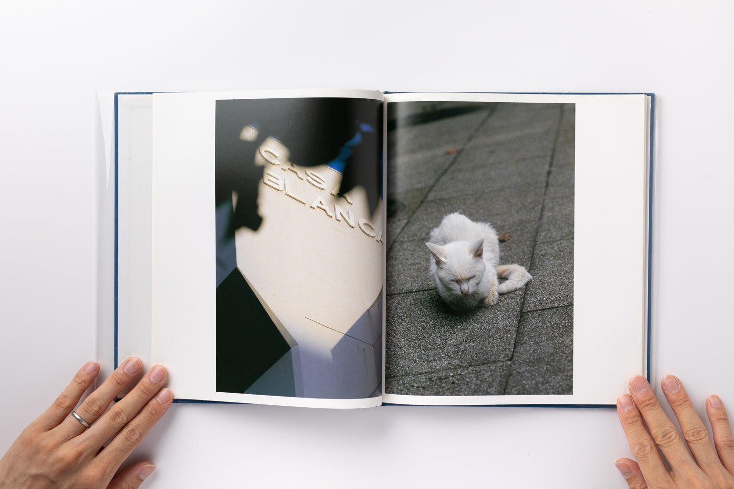 2X6A2818_4100x.jpg?v=1691816868