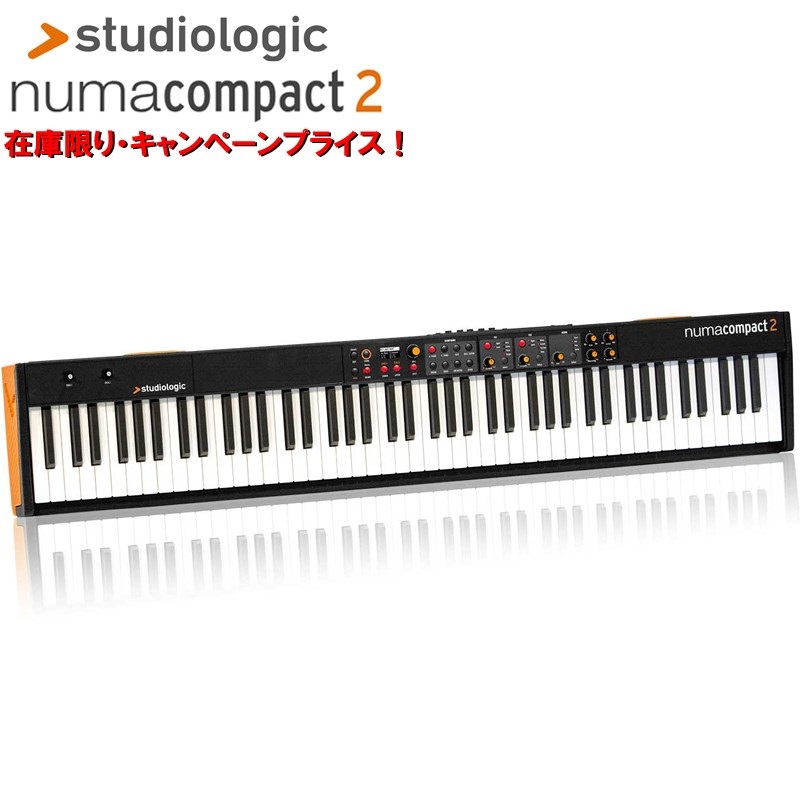 Studiologic 【新楽器応援セール】Numa Compact 2 (生産完了在庫限り