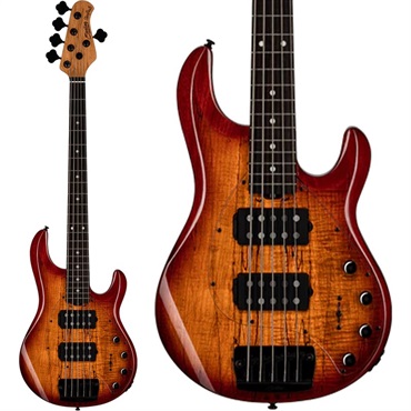 Sterling by MUSICMAN Ray35HHSM (Blood Orange Burst) 【新楽器応援