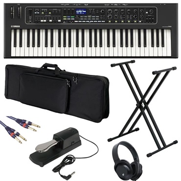 KORG 【半期決算セール】Pa300 (完全台数限定・DS-1H純正ダンパー