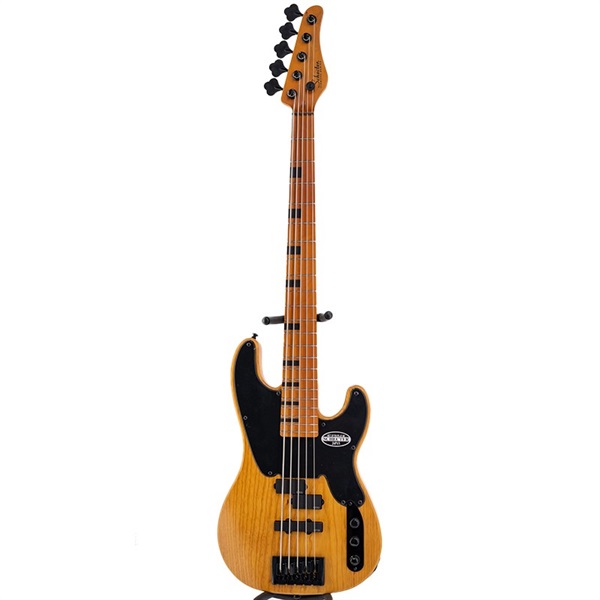 SCHECTER MODEL-T SESSION 5 [AD-MT-SS-5] (ANS) 【新楽器応援セール