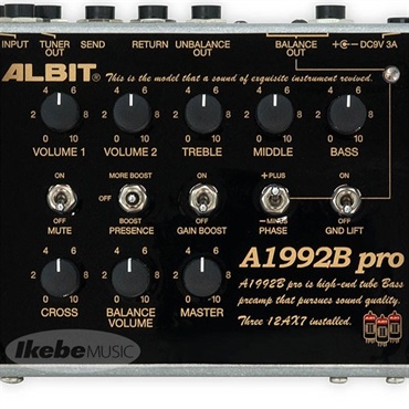 ALBIT A1992B pro Custom [IKEBE Order Model] ｜イケベ楽器店