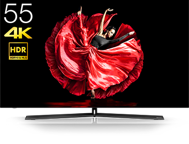 55E8100 | ハイセンスジャパン株式会社