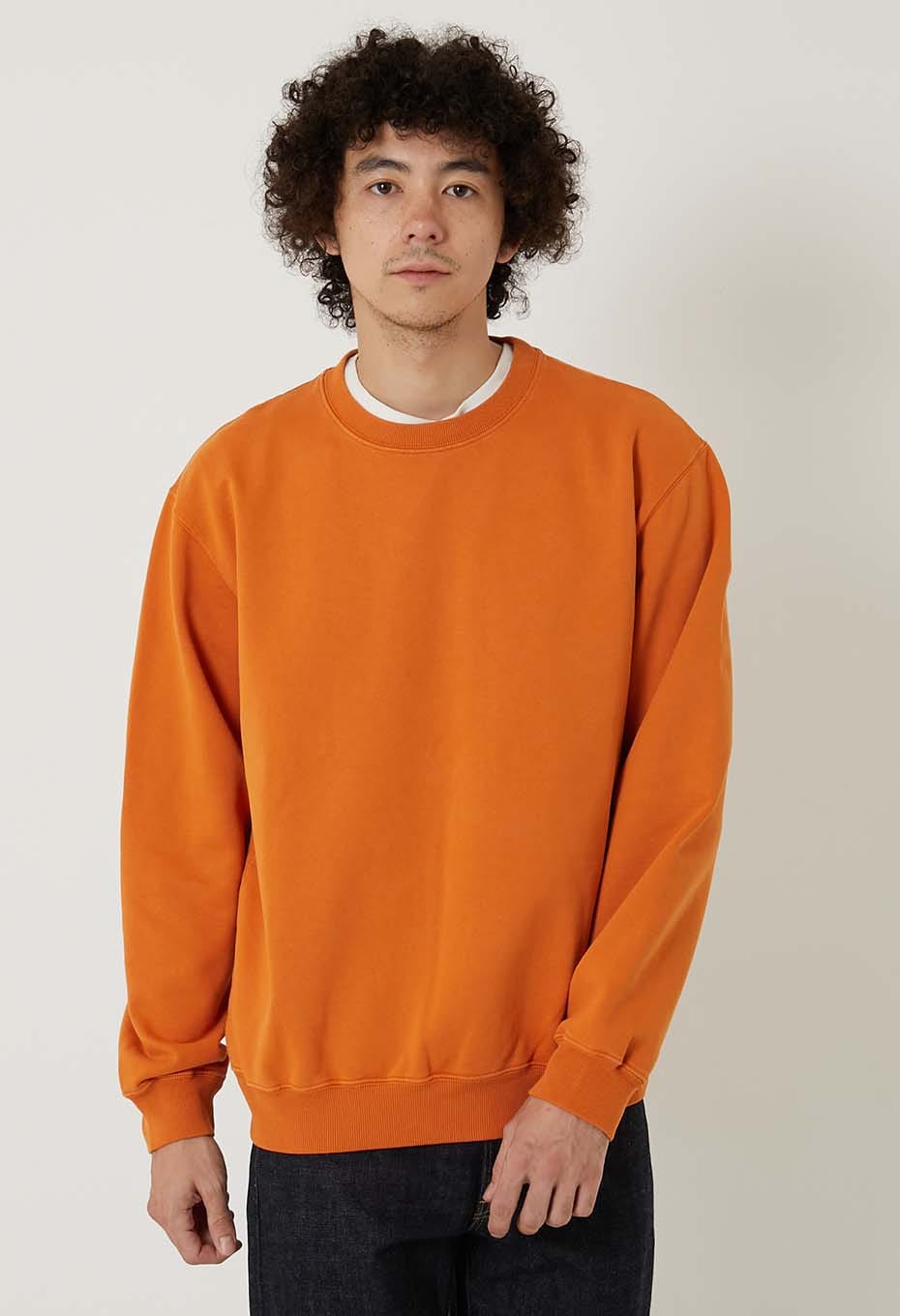 ndx クラシック スウェットシャツ2 | ndx | ハリウッドランチ