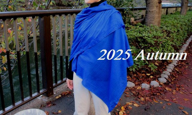 YARNZ】17AW/ヤーンズ X-ray Tiger カシミア100% アニマル柄 タイガー