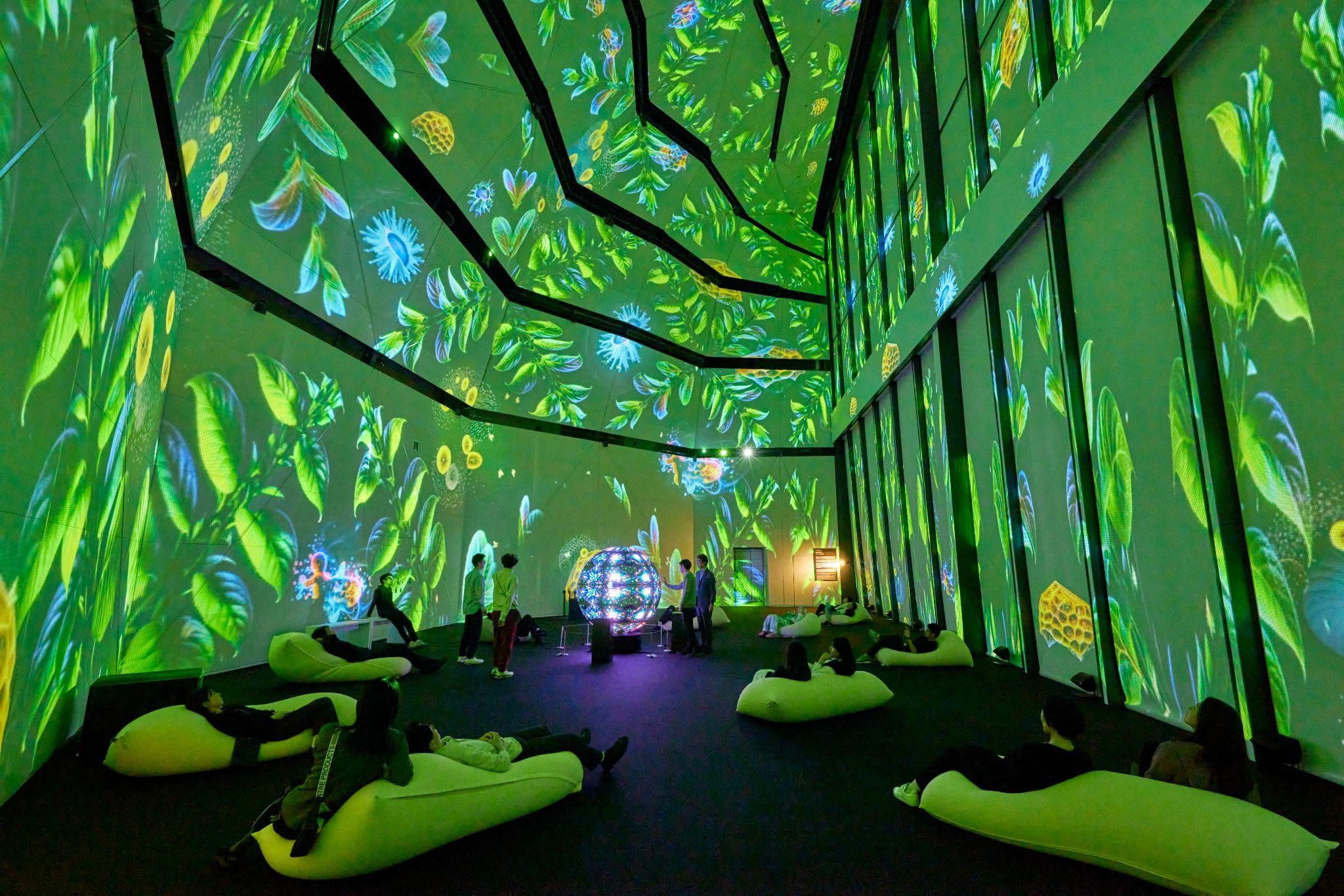 ついに開幕！】没入型音楽体験ミュージアム「MUUUSE」のご紹介！協賛