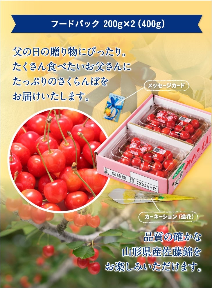 父の日】秀品さくらんぼ佐藤錦フードパック2P: JAてんどうフーズ
