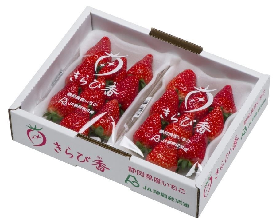 静岡いちご きらぴ香 260g×2パック入り JA静岡市: しずおか『手しお
