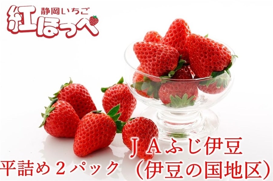 静岡いちご「伊豆紅ほっぺ」平詰め2P JAふじ伊豆≪2026年3月16日