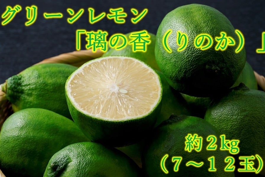 静岡県産グリーンレモン「璃の香（りのか）」 約2kg JA三方原開拓