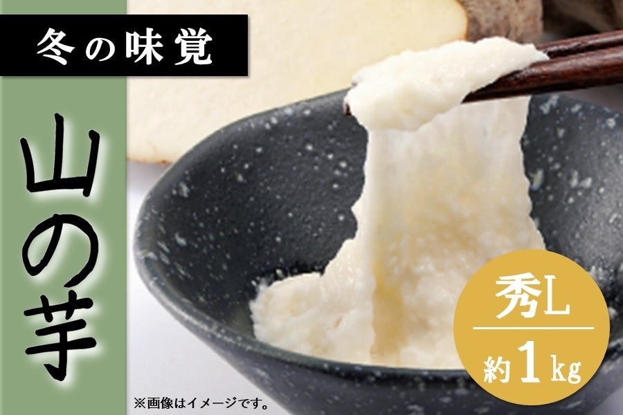 丹波市産 山の芋（秀L・1㎏）: あつめて、兵庫。|【JAタウン】産地