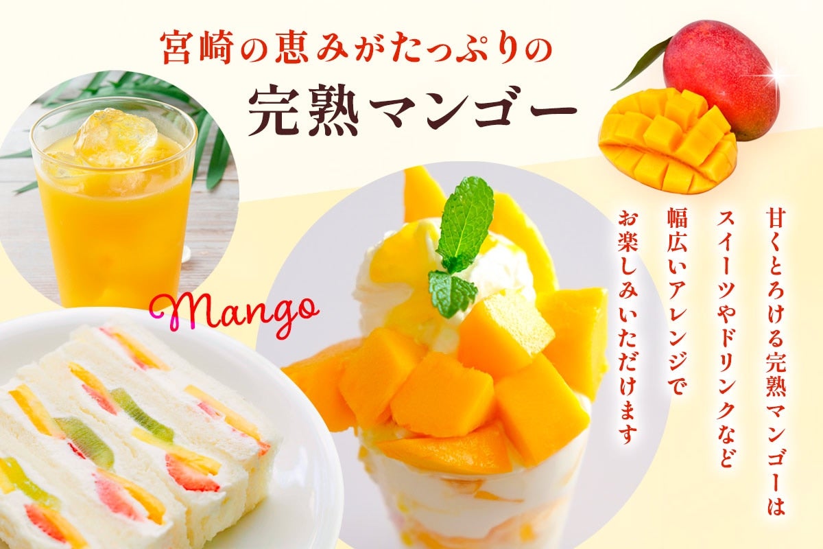 みやざき完熟マンゴー【化粧箱入】: JAみやざき Tege Mahalo|【JA