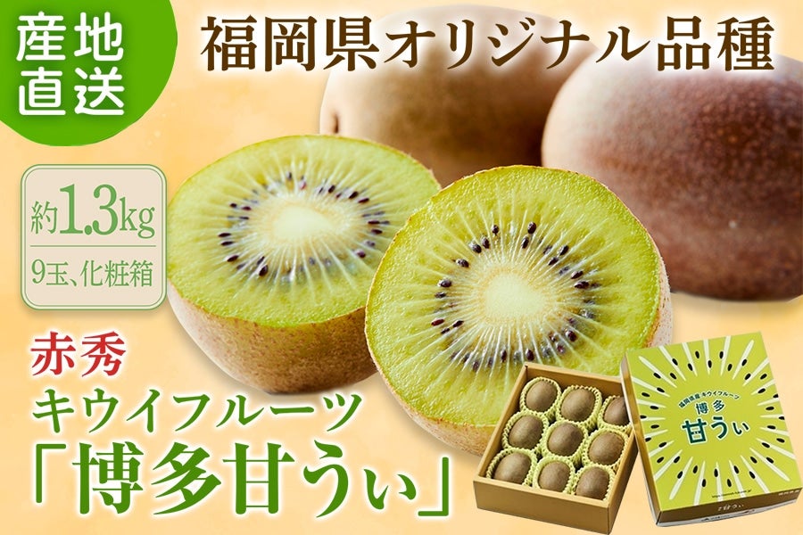 2026年10月予約開始予定】◎福岡県オリジナル品種 キウイフルーツ