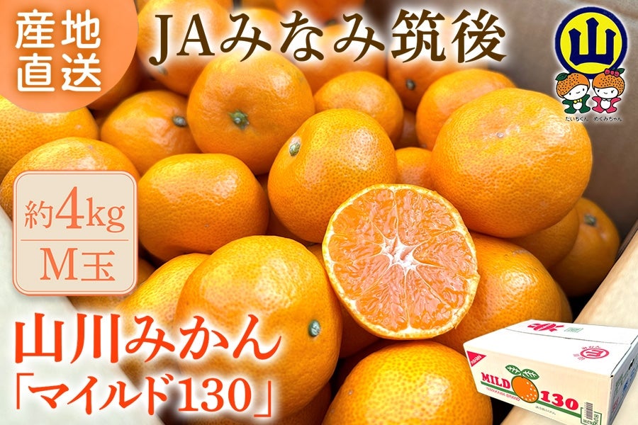 2025年10月予約開始予定】◎JAみなみ筑後 山川みかん『マイルド130』M