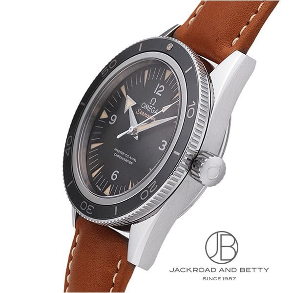 シーマスター 300 マスター コーアクシャル[233.32.41.21.01.002