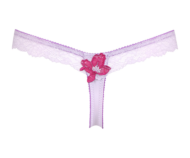 PTJ481｜ワコール サルート 81G Tバックショーツ 全3色 M・L 下着