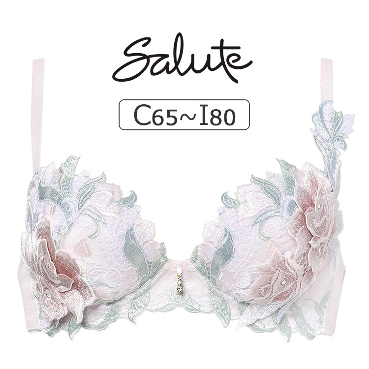 BTJ422｜ワコール サルート 22G ブラジャー単品 P-upタイプ CDEFGHI