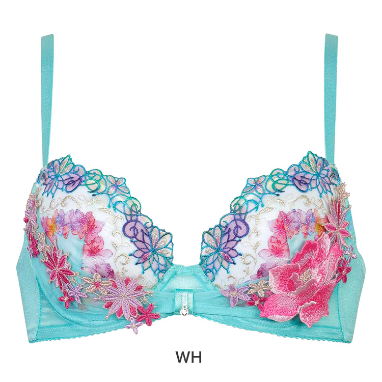 BTJ750｜ワコール サルート 50G ブラジャー単品 リボンブラ CDEFG