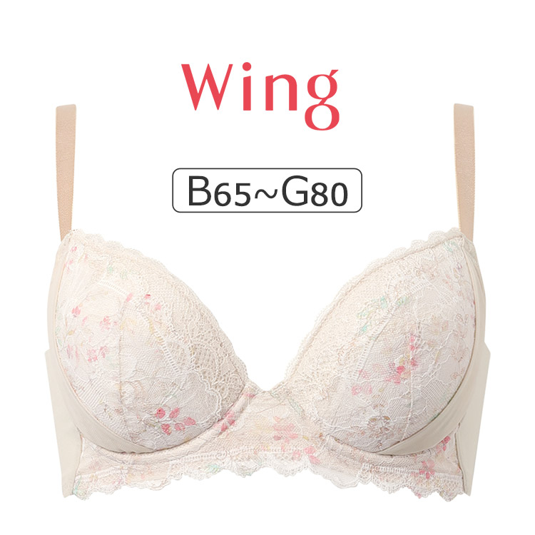 ダイアナ ブラック ブラジャー G80 G80のブラジャー｜ナルエー公式通販