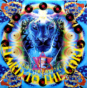 DJ BOBO JAMES A.K.A.DEV LARGE(3LP) HARD TO THE CORE -DJ機材