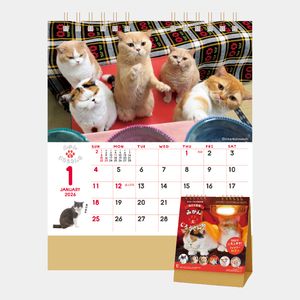 2個セット】うり にゃんだふるカレンダー 2個セット】うり にゃんだ