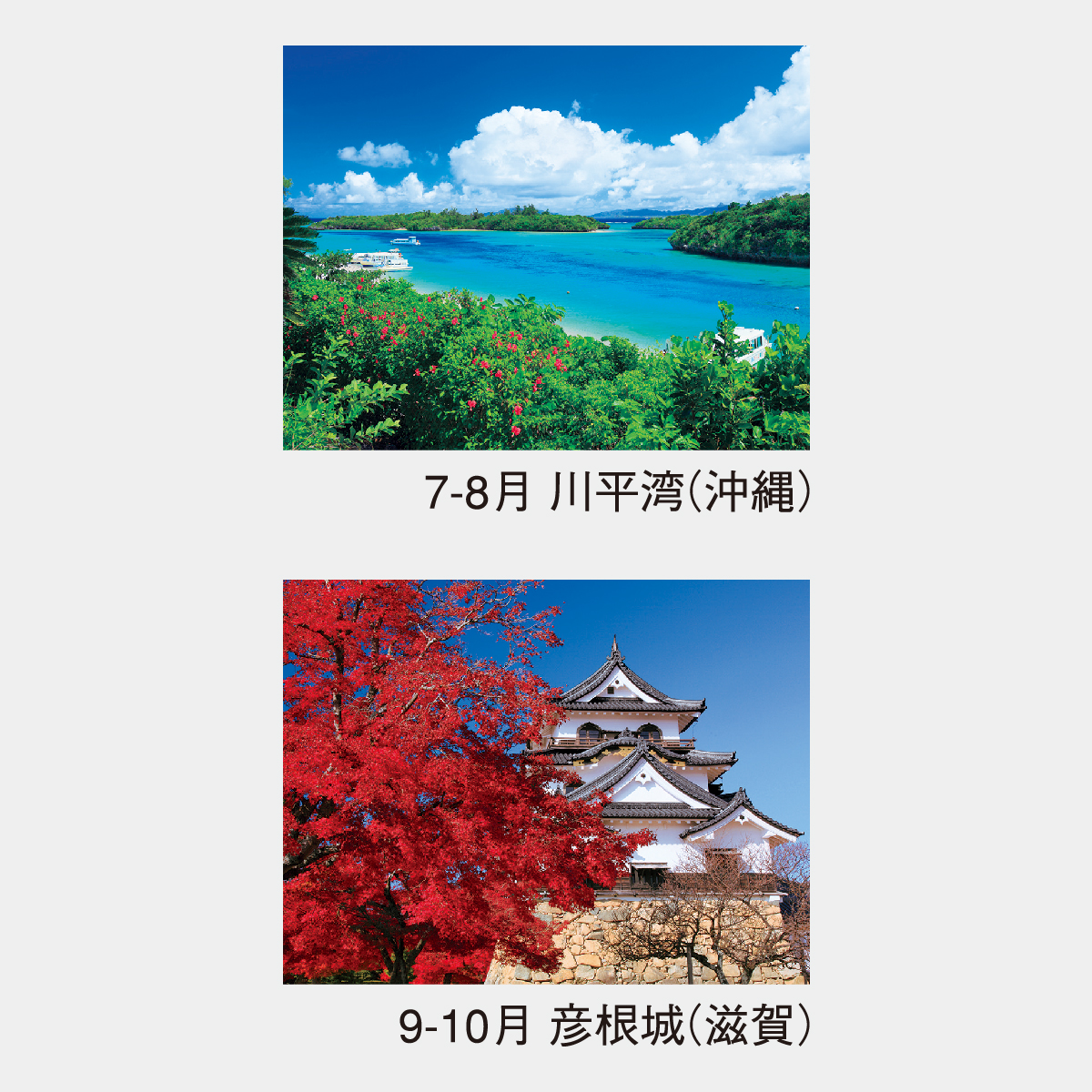 NK-18 春夏秋冬〔メモ付〕2026年版の名入れカレンダーを格安で販売