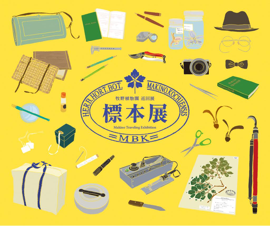 巡回展「標本展」津野町カルスト学習館で開催｜ 高知県立牧野植物園