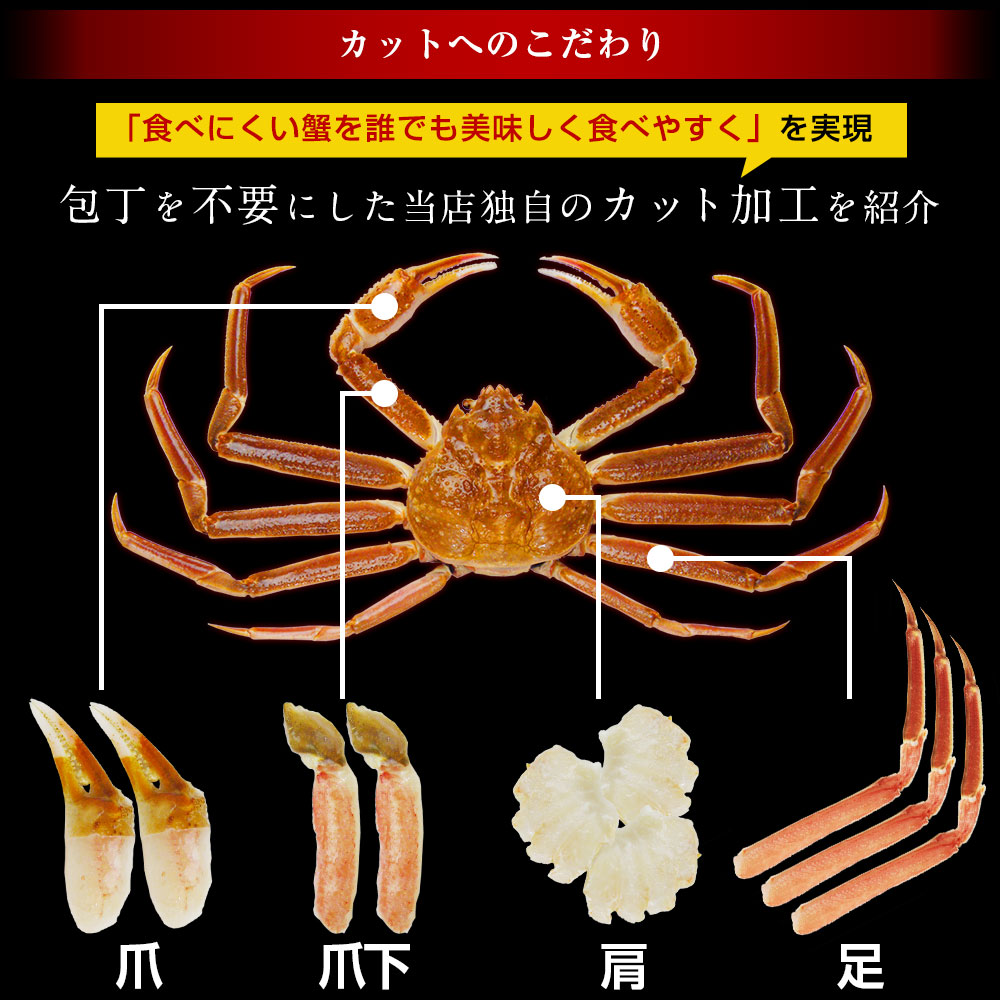 かに カニ 蟹 ずわい蟹 ズワイガニ カニ通販 お刺身OK☆カット済み生本
