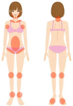 ノンFドラゴン | ノンエフドラゴン詰め替え用 500g