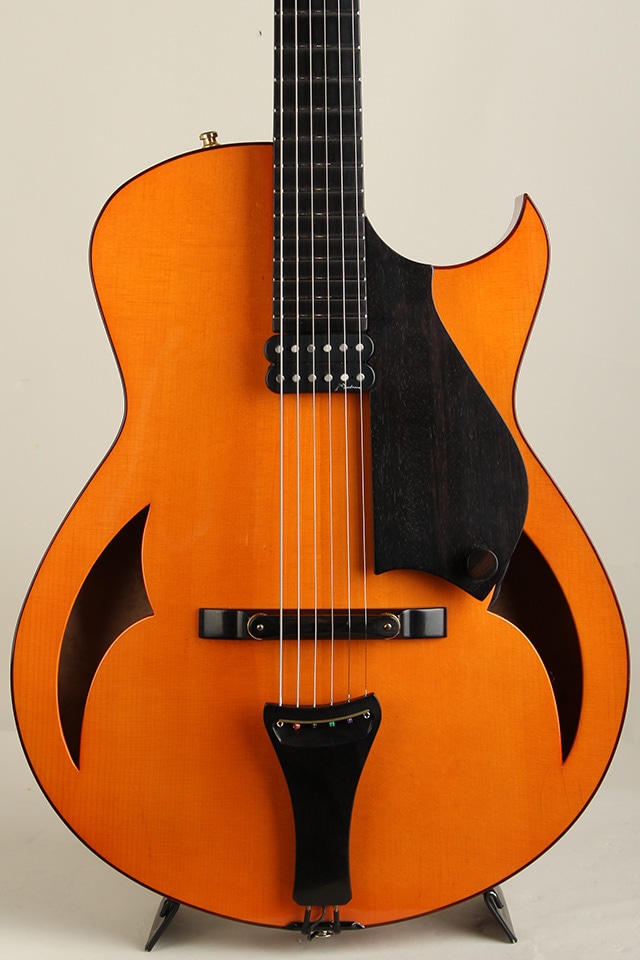 15 Inch Archtop Thinbody Modified by Marchione 2008: エレキギター