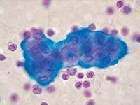 臨床検査用染色液・試薬及び顕微鏡用グラス、替刃等に貢献する武藤化学