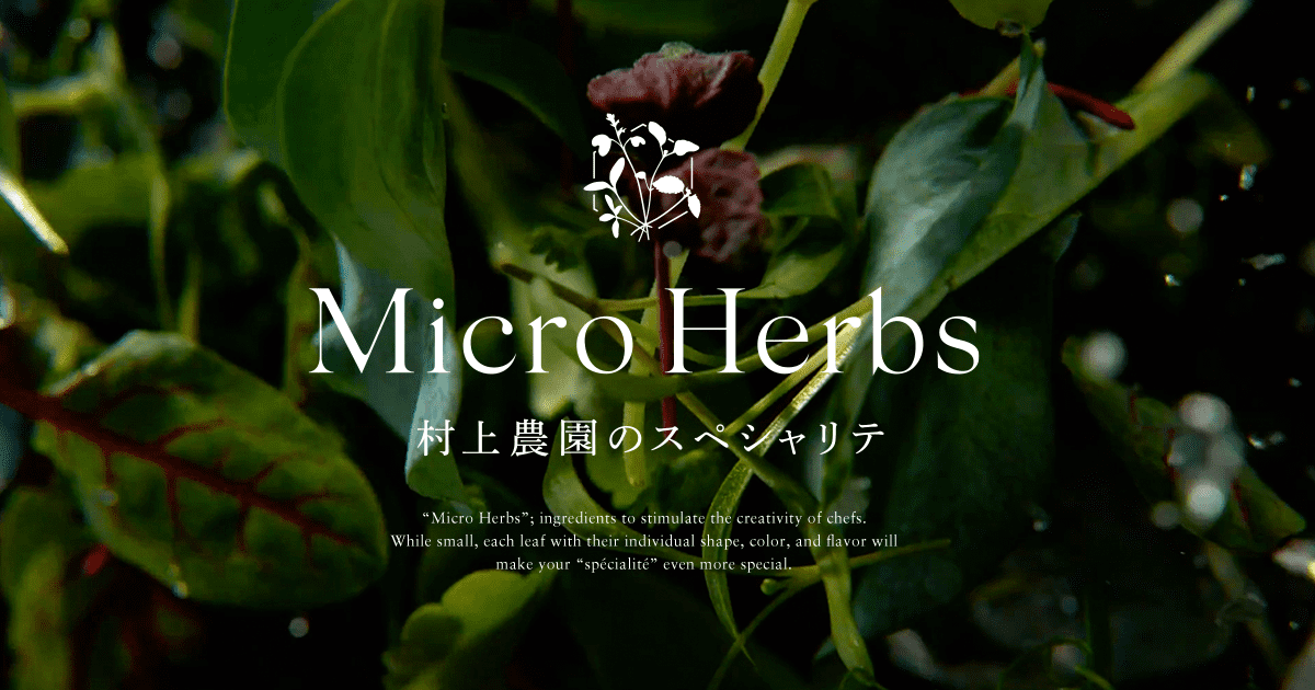 ボリジ - 商品紹介 - マイクロハーブ 〜村上農園のスペシャリテ〜