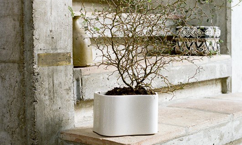 リーヒティエ プラントポットS / TypeA - ホワイト - 植木鉢