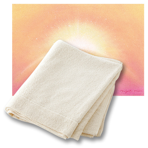 シン アース商品一覧｜N.Pure（エヌ・ピュア） 自然の恵みをそのままに