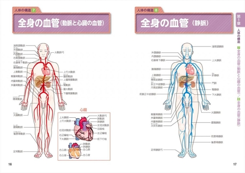 看護師のための早引き 看護観察・アセスメントハンドブック | ナツメ社