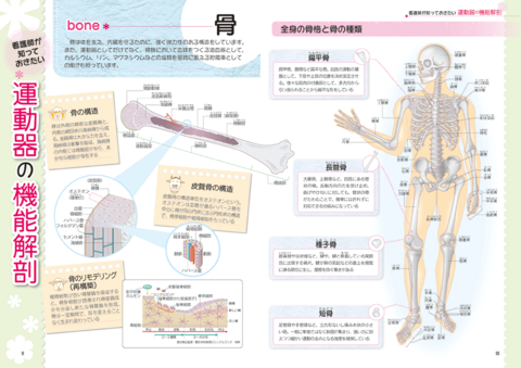 これならわかる！ 整形外科の看護ケア | ナツメ社
