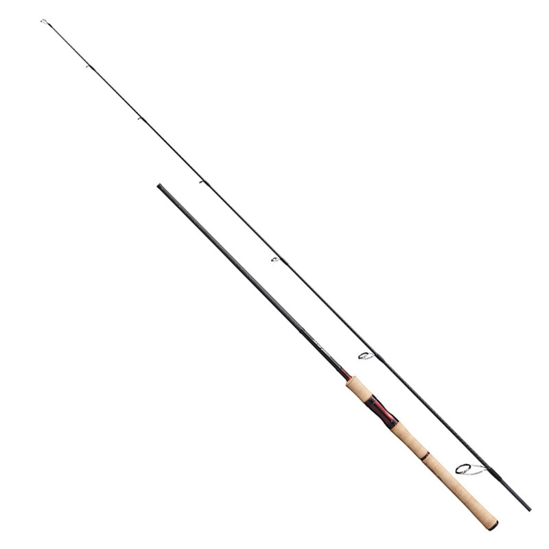 584_1_800.jpg?20210204101816